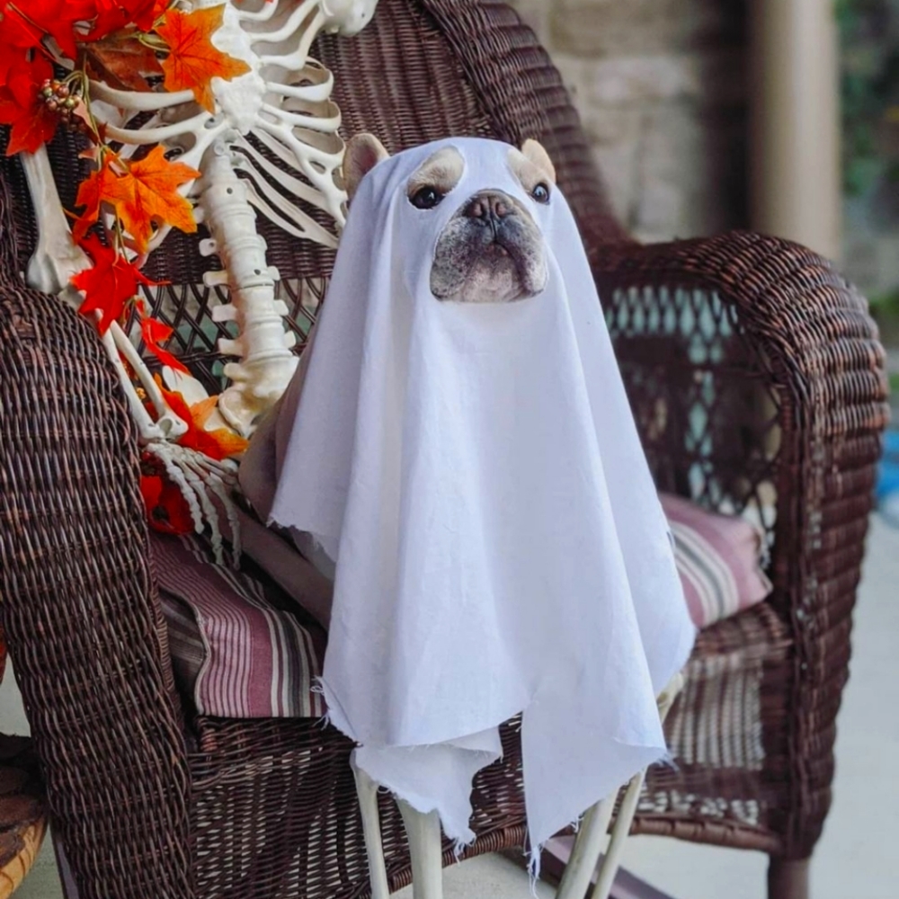 Happy Spooky Season Everyone! 👻🍂🍁🎃